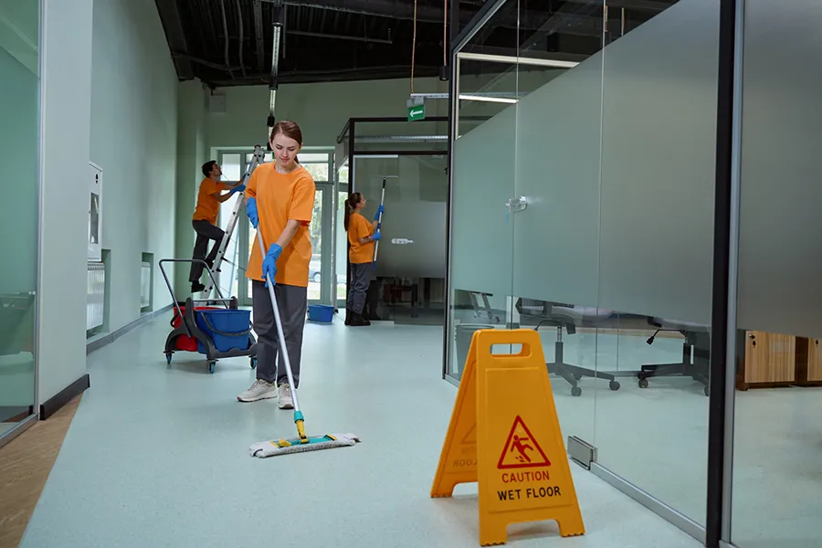 Professional Cleaning Company